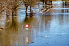 Winterhochwasser am Rhein, 02, 2021.02.13