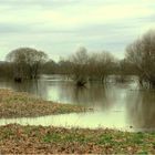 Winterhochwasser an der Weser