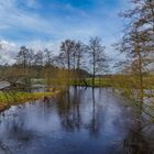 Winterhochwasser heute an der Örtze. 