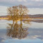 Winterhochwasser in den Poldern