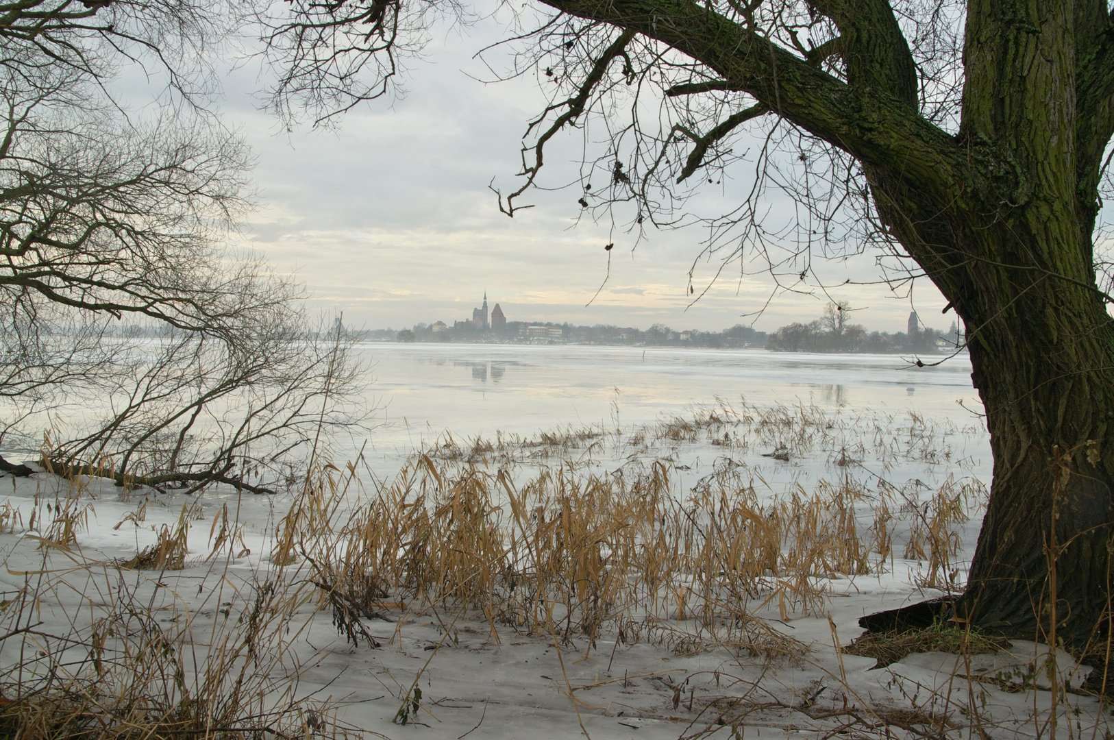 Winterhochwasser Januar 2011 Tangermünde