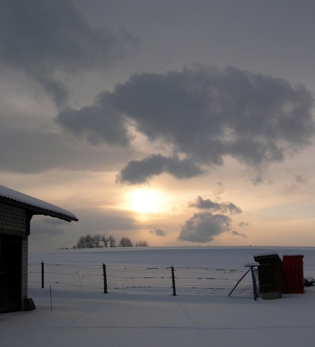 Winterhoffnung