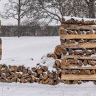 Winterholz