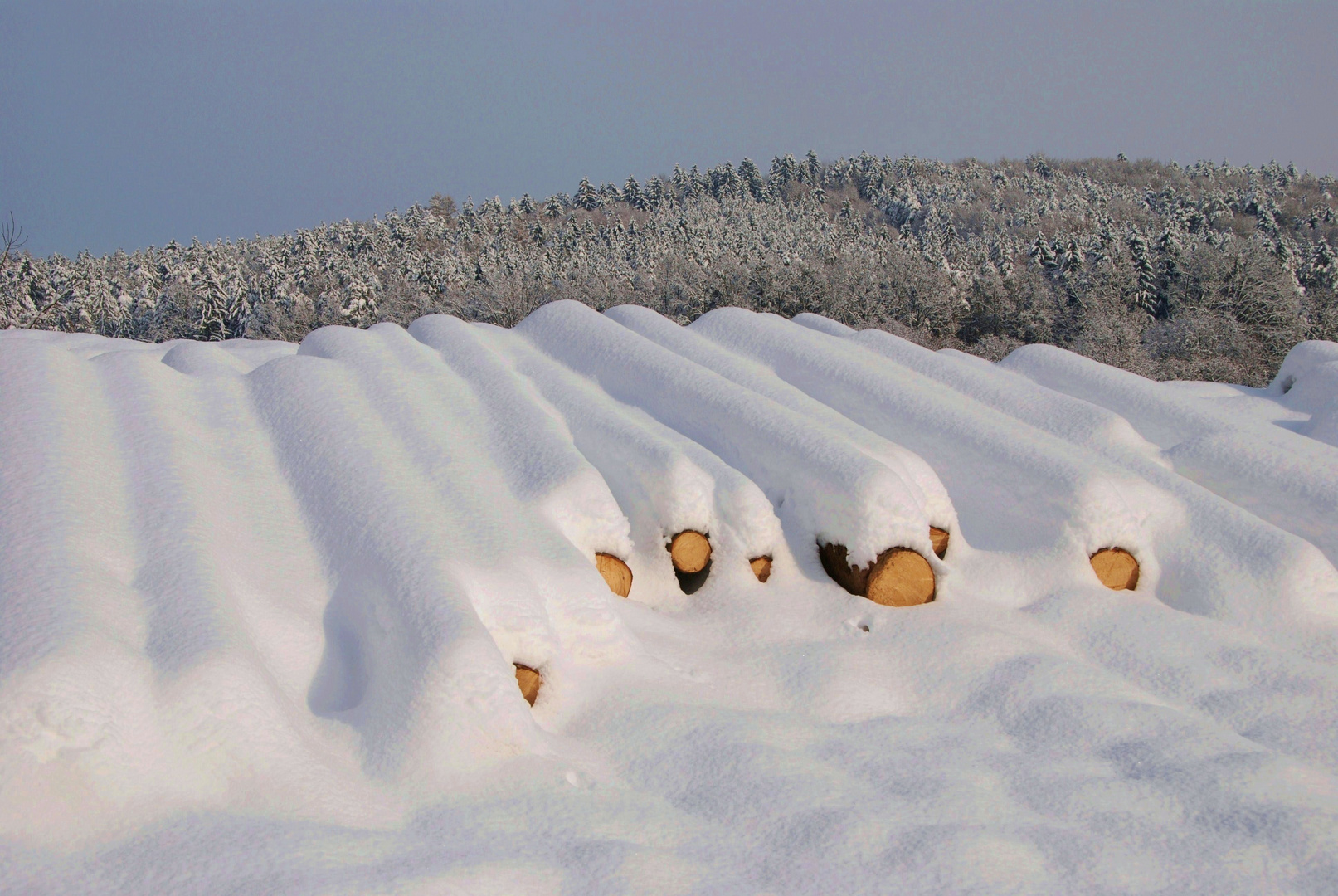 Winterholz unter der weißen Pracht