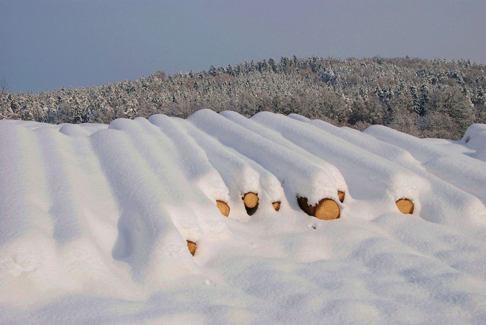 Winterholz unter der weißen Pracht by luigi neumüller 