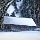 ---WinterHütte---