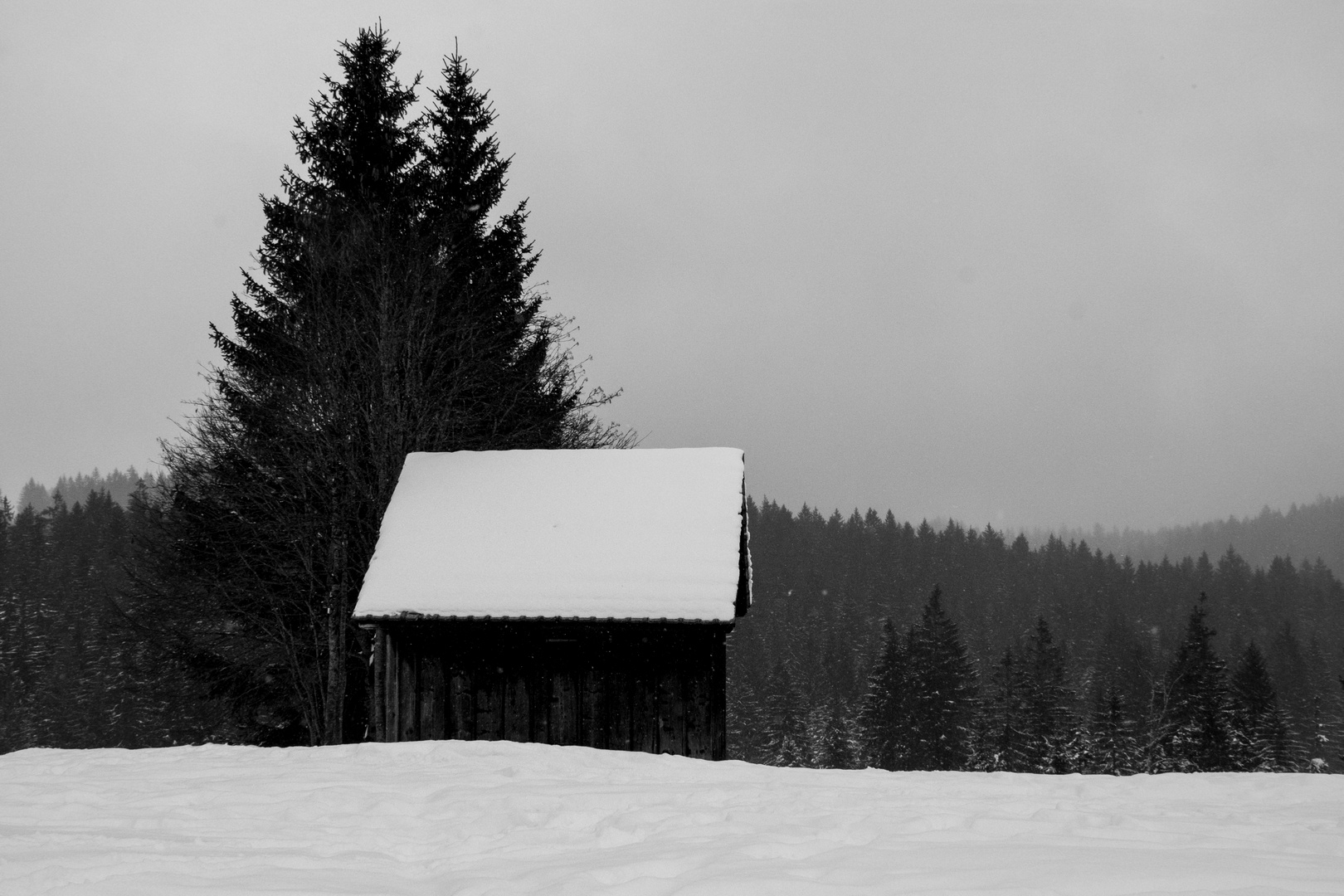 Winterhütte (SchwarzWeiss)