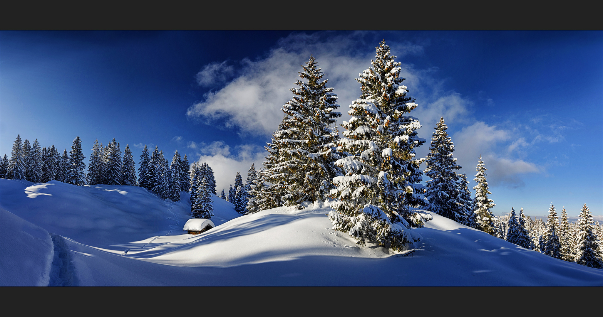 ~ WINTERHÜTTEIMWALD ~