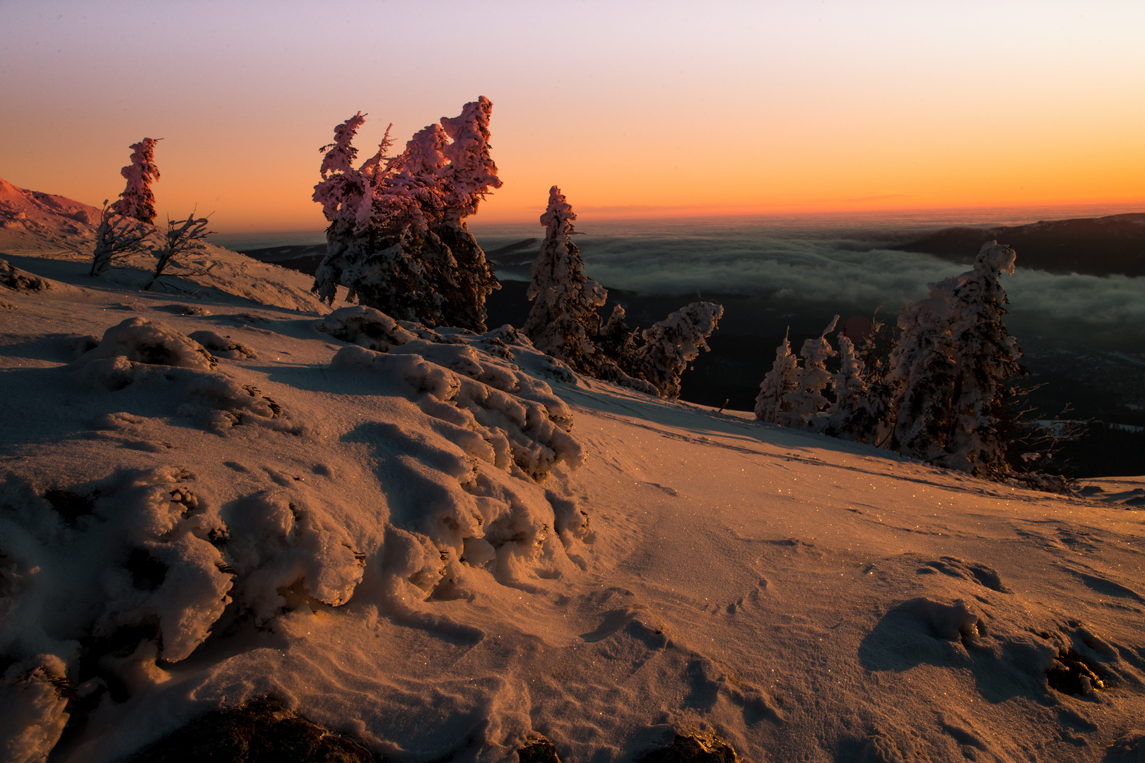 Winter,ich bleib noch da !