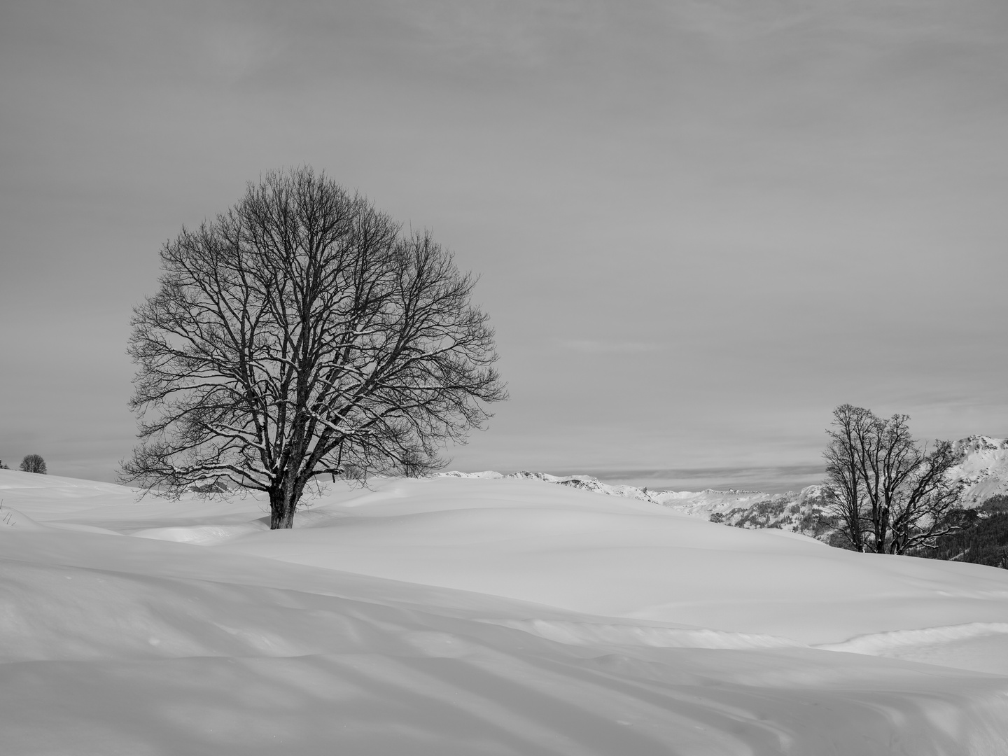 Winteridyll 1