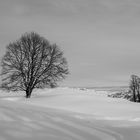 Winteridyll 1