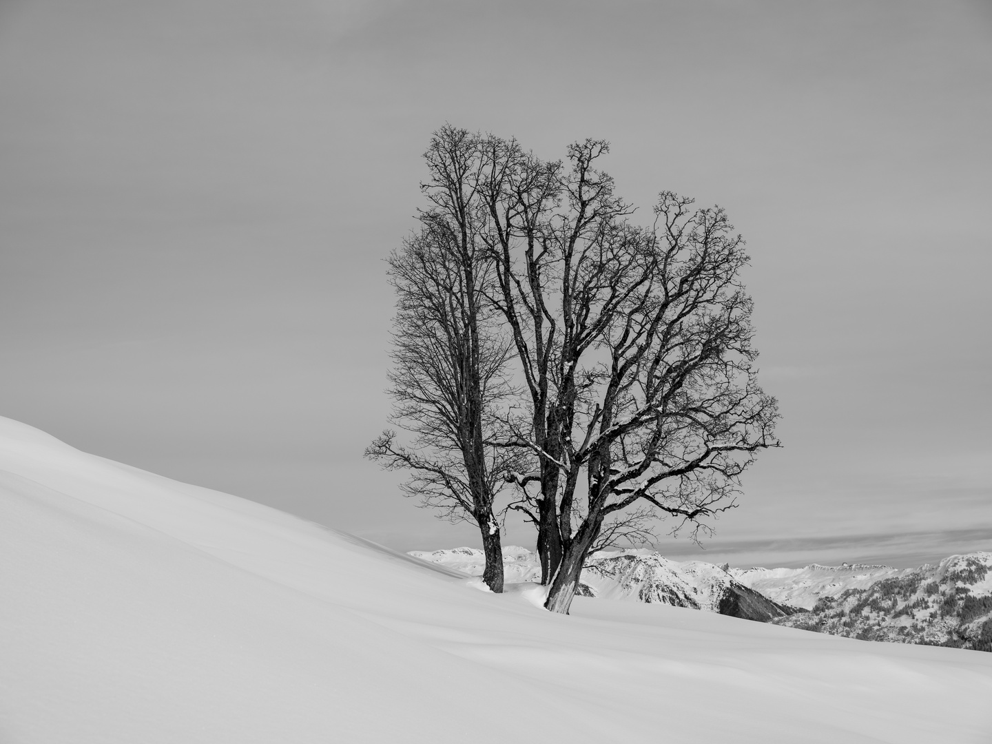 Winteridyll 2