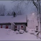 WinterIdyll...