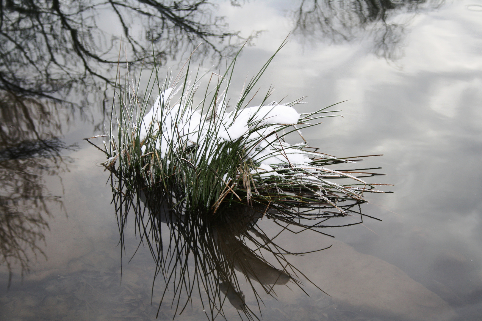 Winteridyll