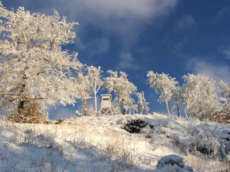 winteridyll am inselsberg