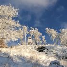 winteridyll am inselsberg