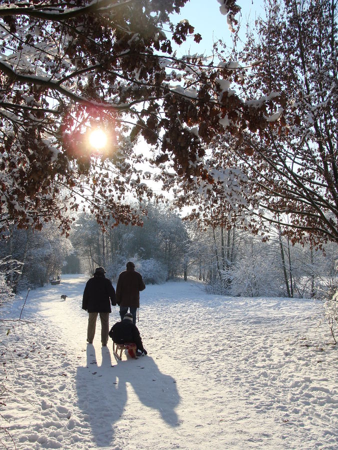 Winteridyll mit Familie, Hund und Schlitten