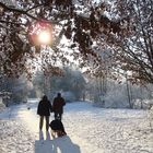 Winteridyll mit Familie, Hund und Schlitten