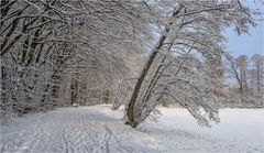 Winteridylle.....