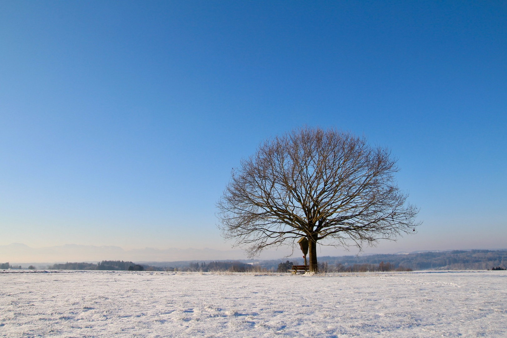 Winteridylle