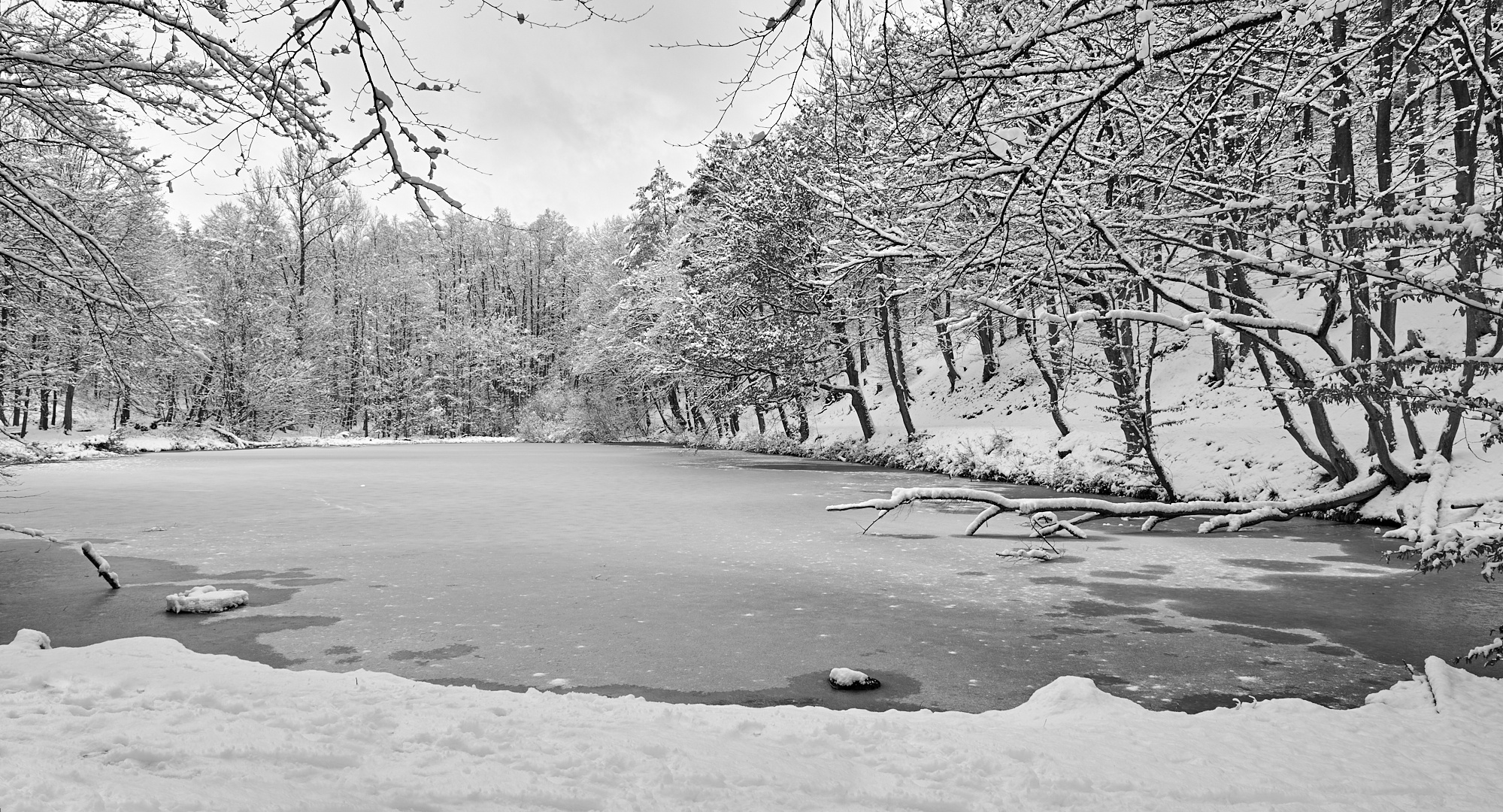 Winteridylle (21.01.2023) am Schwarzweiher im Naturschutzgebiet Eselsbachtal.