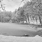 Winteridylle (21.01.2023) am Schwarzweiher im Naturschutzgebiet Eselsbachtal.