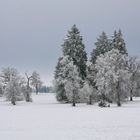 Winteridylle