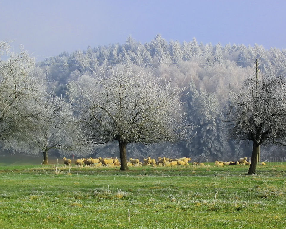 Winteridylle