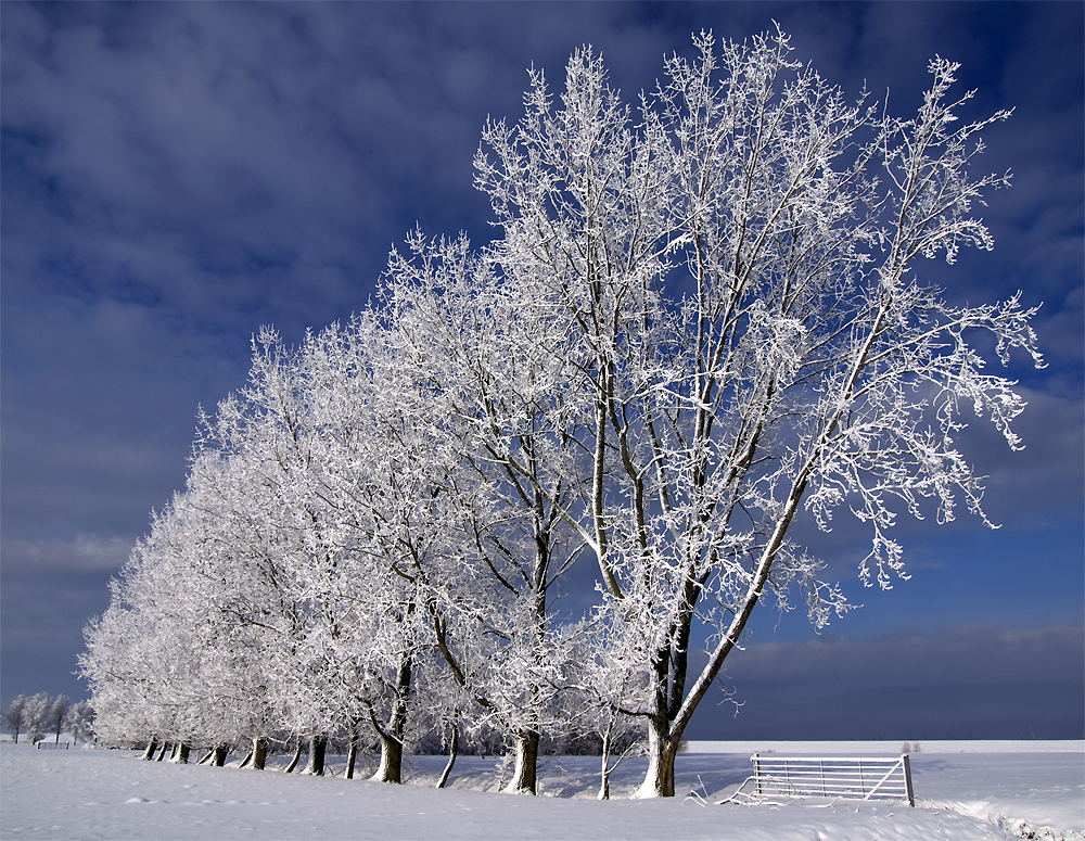 Winteridylle