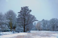 Winteridylle 3