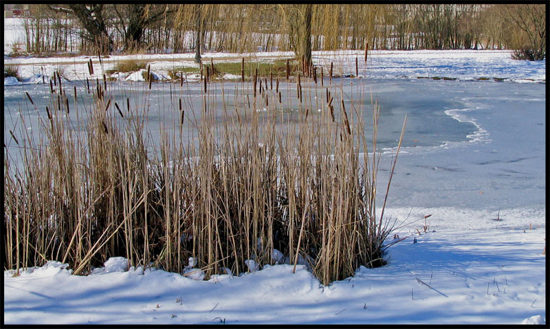 Winteridylle