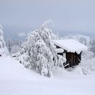 Winteridylle