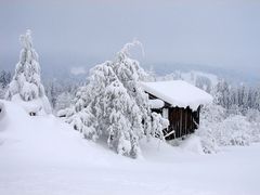 Winteridylle