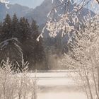 Winteridylle