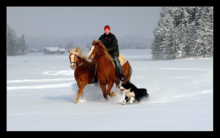 Winteridylle