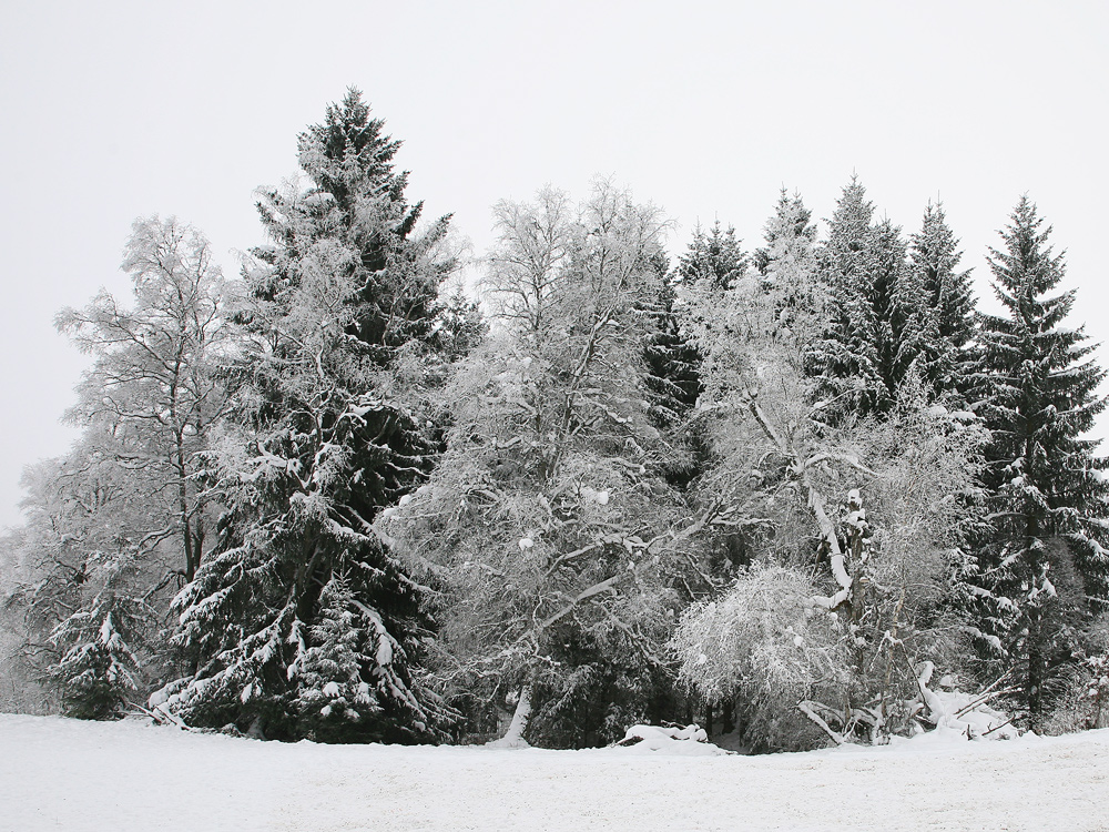 Winteridylle