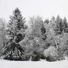 Winteridylle