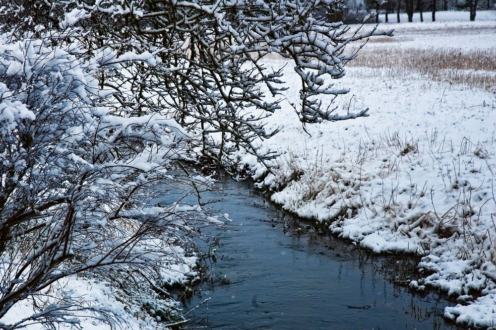 Winteridylle