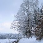 Winteridylle