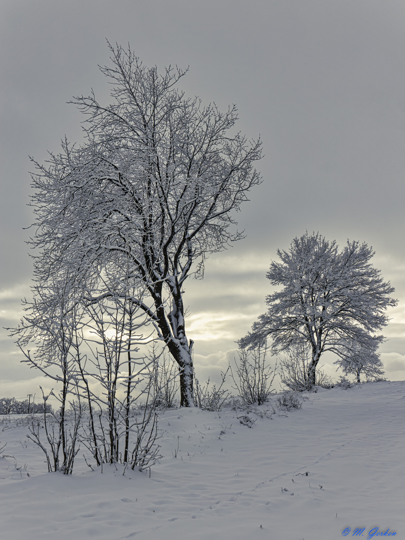 Winteridylle