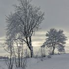 Winteridylle