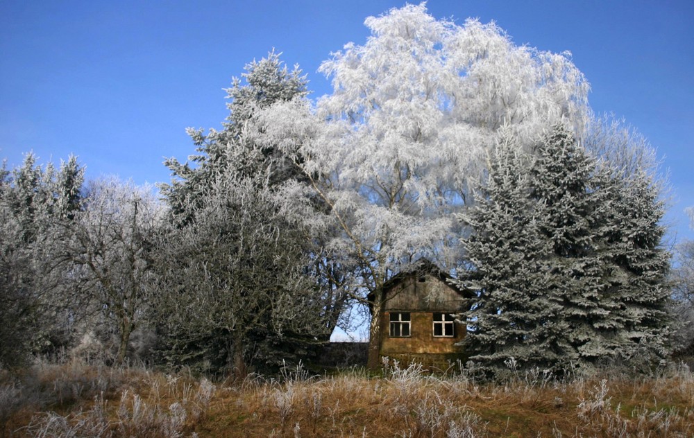 winteridylle