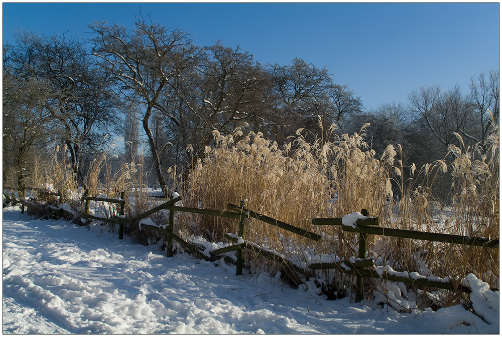 Winteridylle...