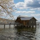 Winteridylle am Ammersee