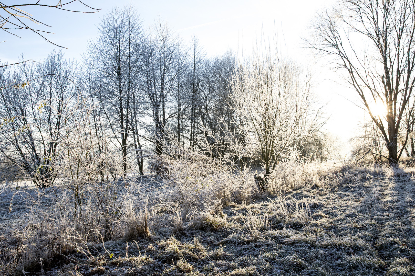 Winteridylle am ehemaligen Todesstreifen