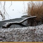 Winteridylle am Kupferteich