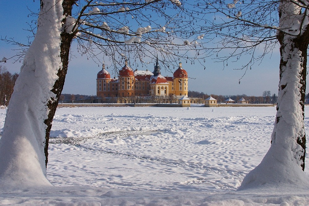 Winteridylle am Schloß Moritzburg