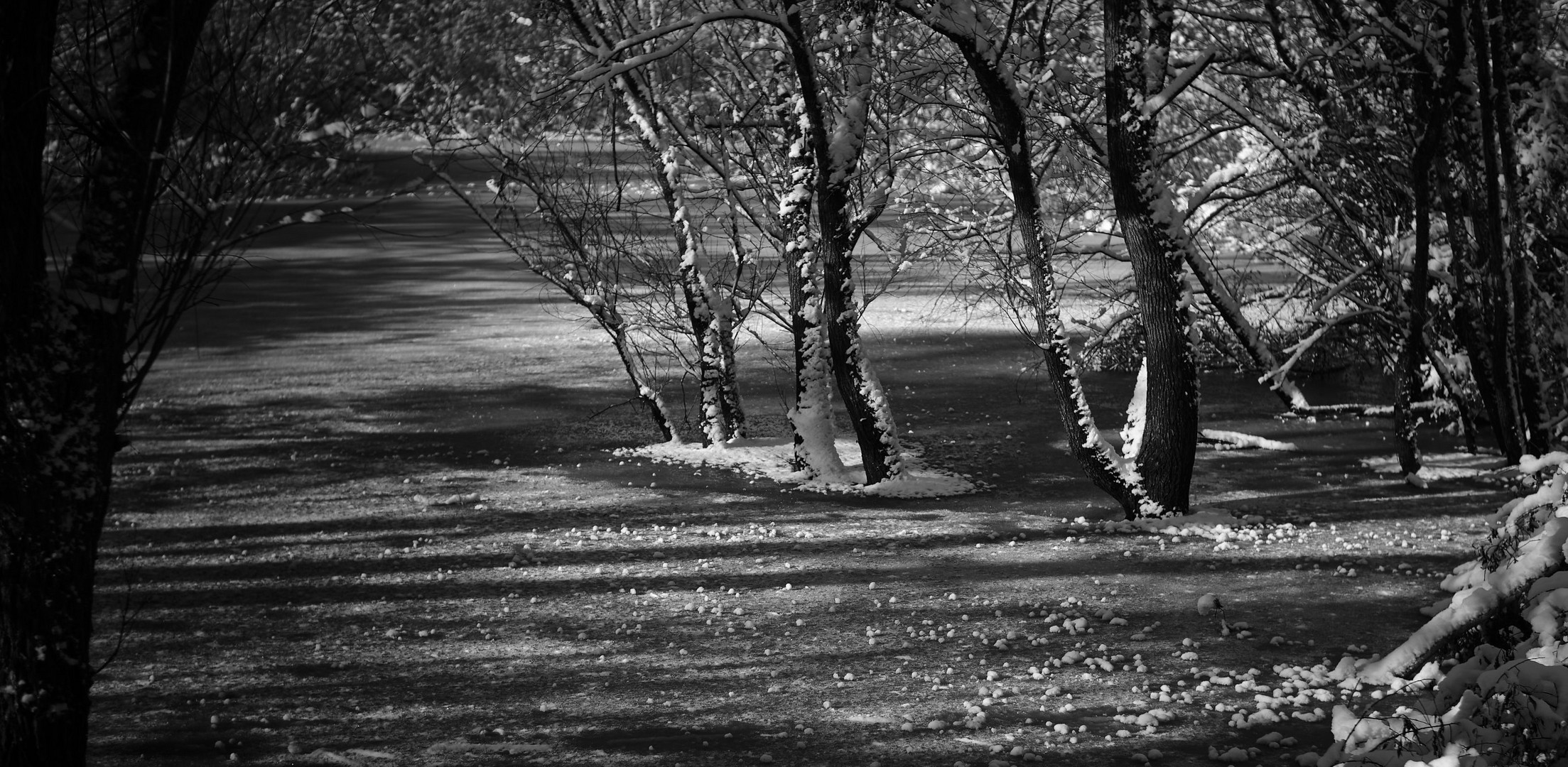 Winteridylle am Teich