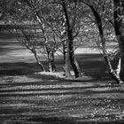 Winteridylle am Teich