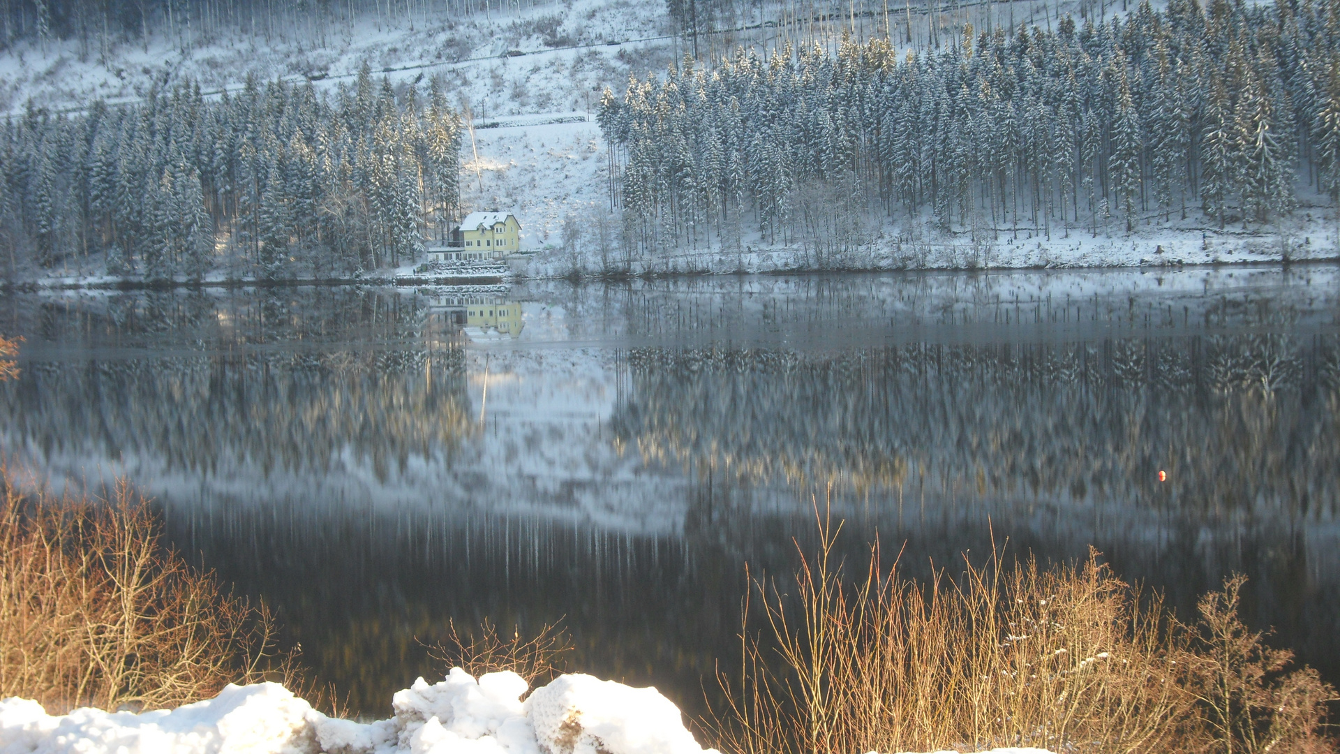 Winteridylle am Titisee